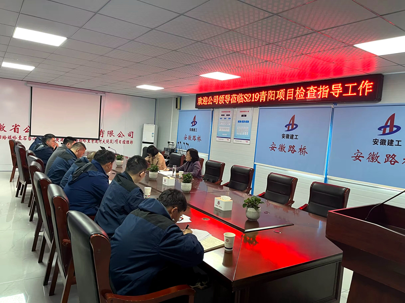 公司黨委委員、紀(jì)委書記王鵬到S219青陽改建項(xiàng)目調(diào)研指導(dǎo)工作